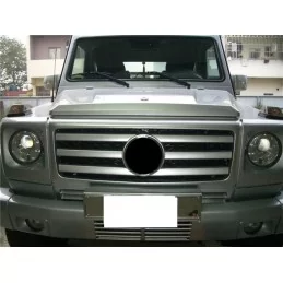 Mercedes G Klasse AMG grille