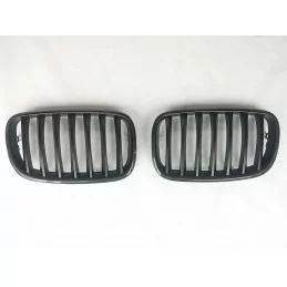 BMW X5 / BMW X6 kylargrill i kolfiber