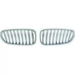 BMW Z4 chroom grille