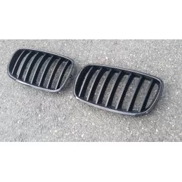 Carbon Kühlergrill BMW X 5 / BMW X 6