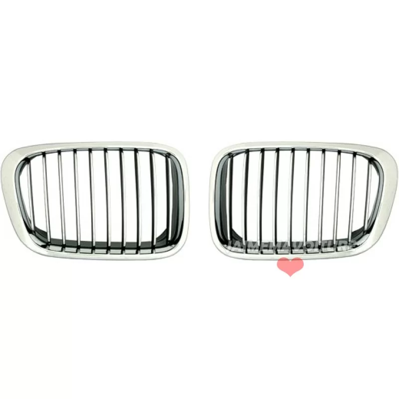 BMW 3-serie E46 kromad kylargrill bean