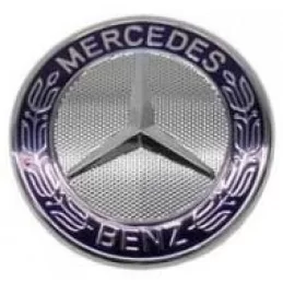 Griglia con logo Mercedes Classe S W221 E W211 W212