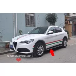 Alfa Romeo Stelvio fotplatta