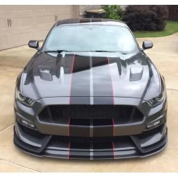 Ford Mustang Shelby GT350 främre stötfångare