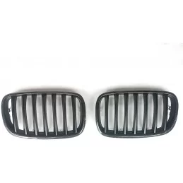 Kolfibergrill BMW X5 BMW X6 2007 2008 2009 2010 2011 2012 2013