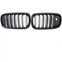 Grille for BMW X 5 X 6 - painted black