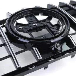 Panamericana-grill till Mercedes GLE W167 AMG LINE