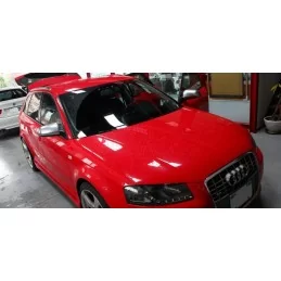 Calotte degli specchietti Audi S3